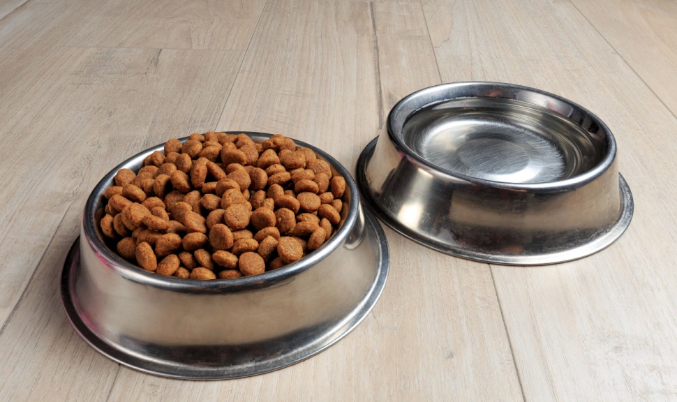 Баланс питательных веществ — то, что необходимо каждой собаке